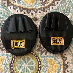 🔥EVERLAST PROFESSIONAL BOXING MITTS